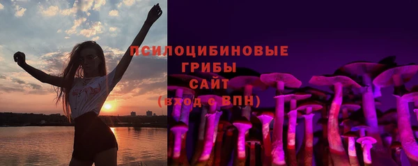 шишки Зерноград