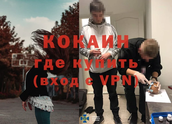 шишки Зерноград
