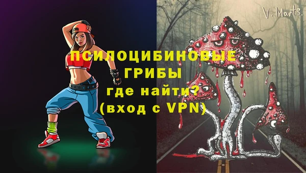 PSILOCYBIN Зеленокумск