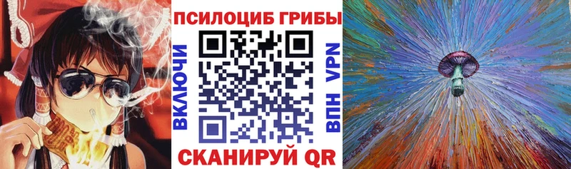Галлюциногенные грибы Cubensis Купить закладки Заринск