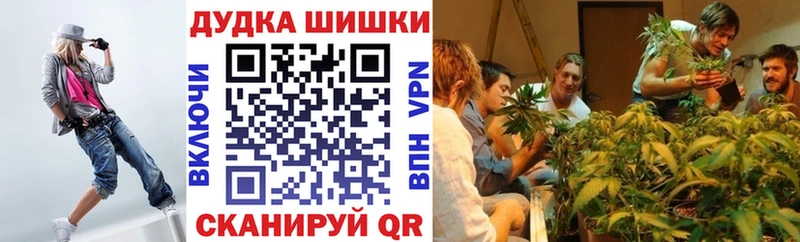 Купить где  Заринск  Шишки марихуана сатива 